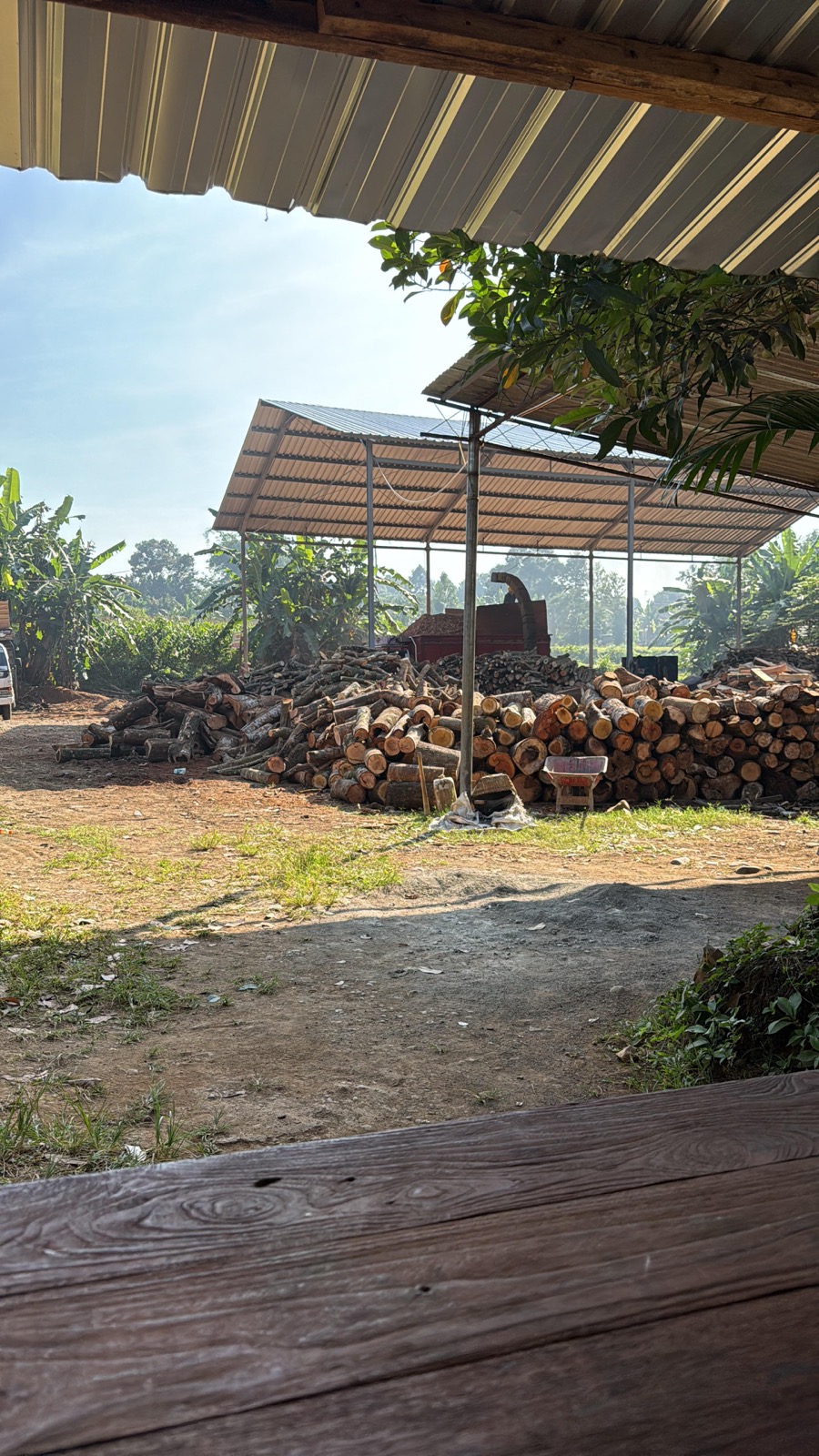 Woodchip Berkualitas