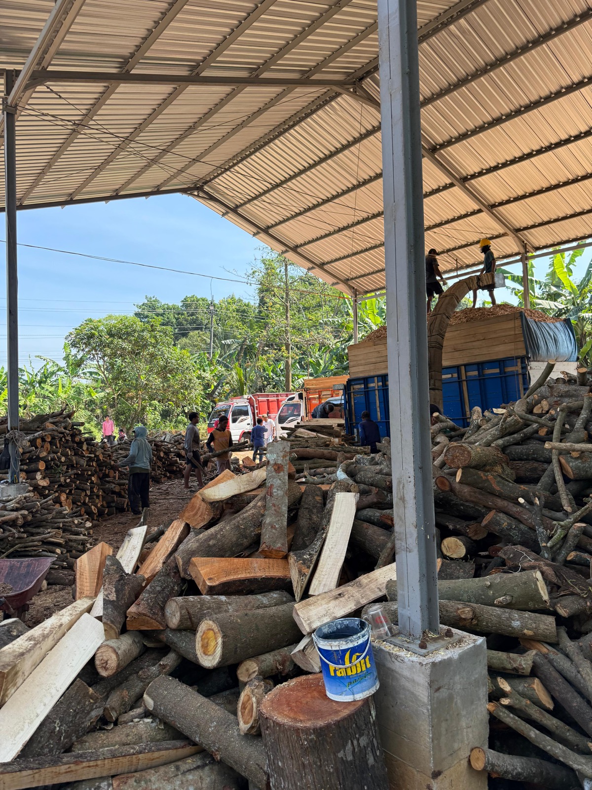 Industrial Biomass